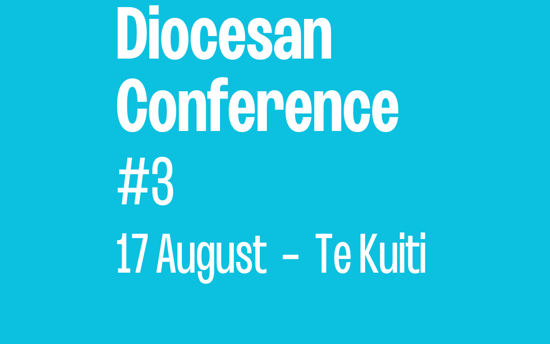 Diocesan Conference #3