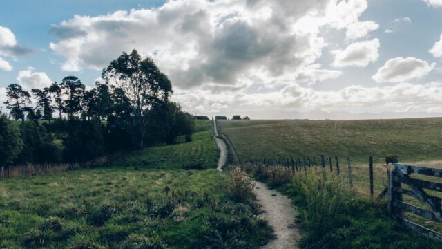 St Stephen’s Tamahere